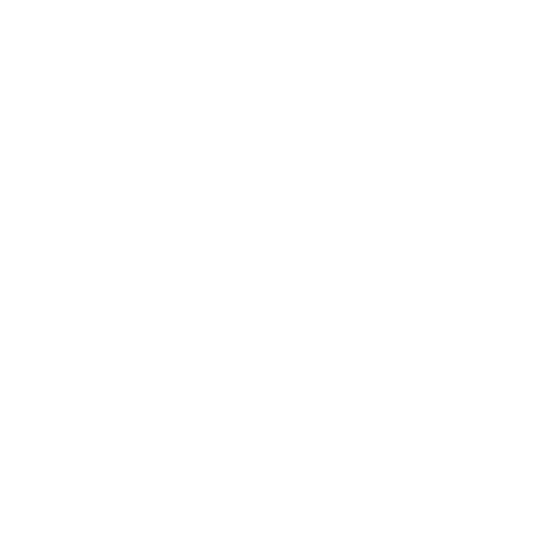 Expert Advisory Support